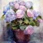 Hortensia i urtepotte