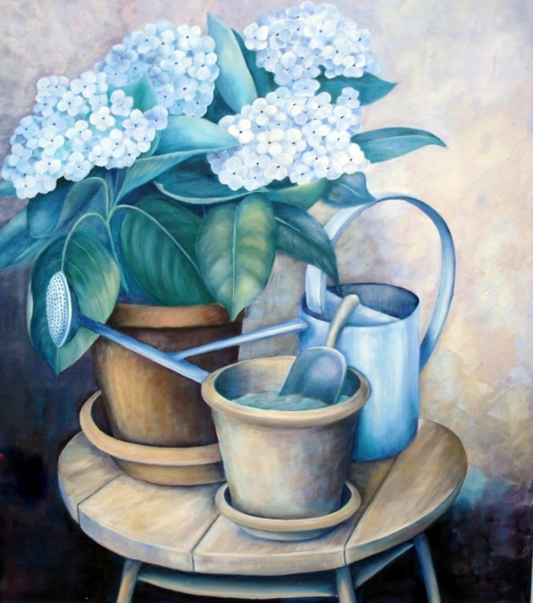 Hortensia i urtepotte