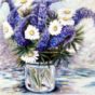 Margueritter, lupiner