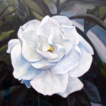 gardenia