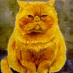 gul kat