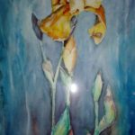 iris med gullig blomst
